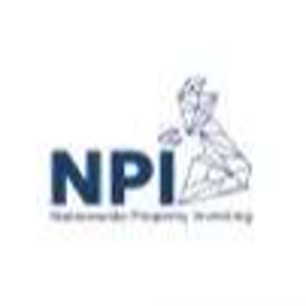 logo of the Nationwide Property Investing LTD