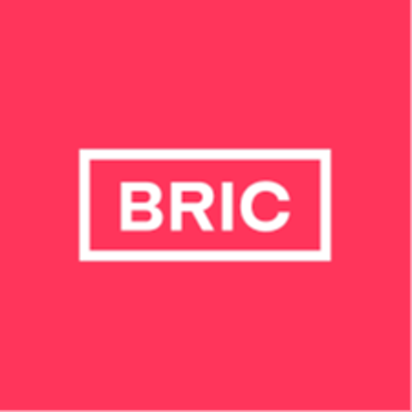 logo of the Bric Living