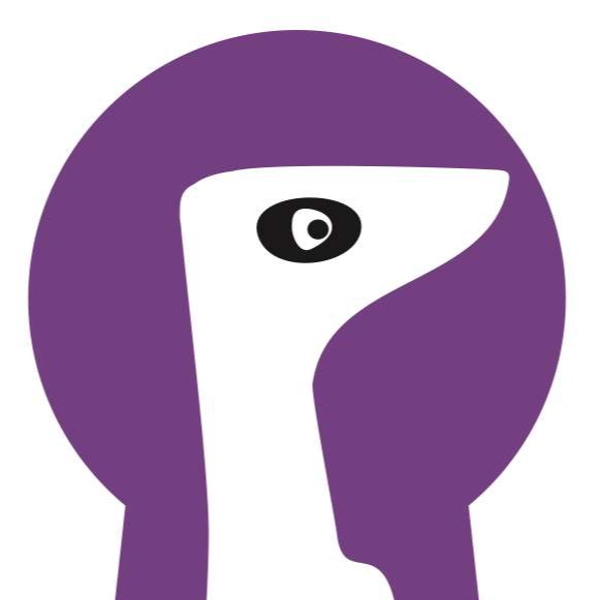 Picture of Move In Meerkat