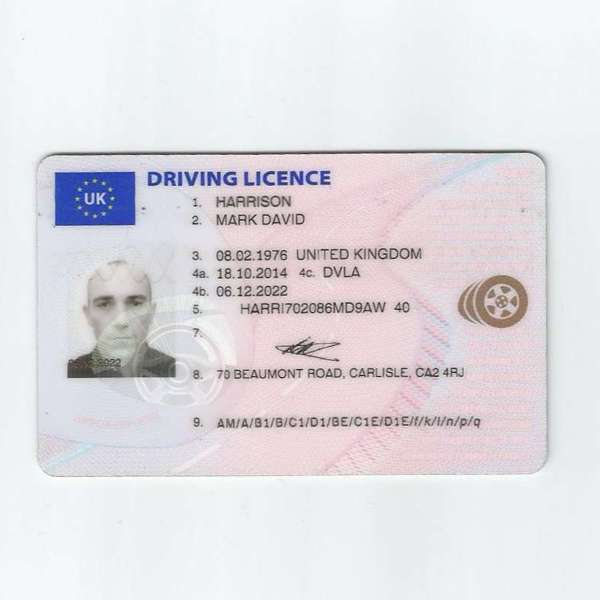 Picture of Mark David