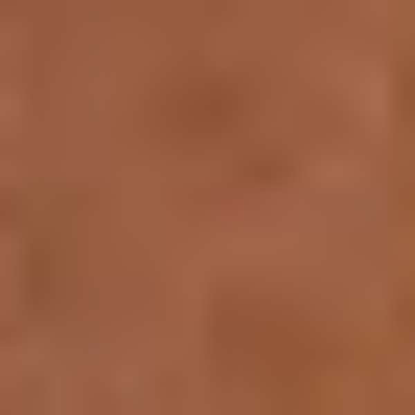 Picture of Aneel