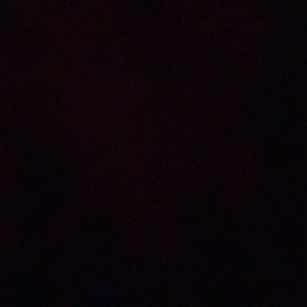 Picture of Adel