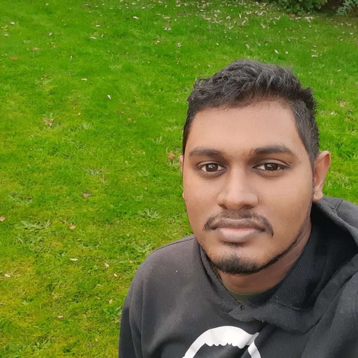 Picture of Dasun