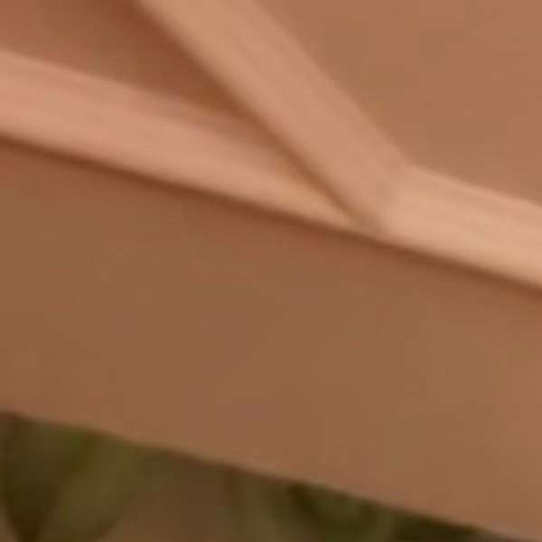 Picture of Aiya