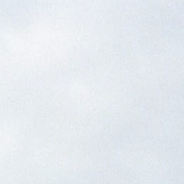 Picture of Adam