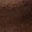 Picture of Peter