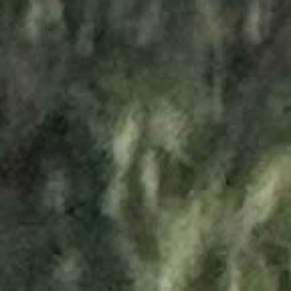 Picture of Duaa Ali