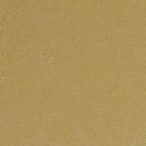 Picture of Peter