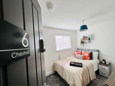 Lovely homely house share  - St Helens Street image
