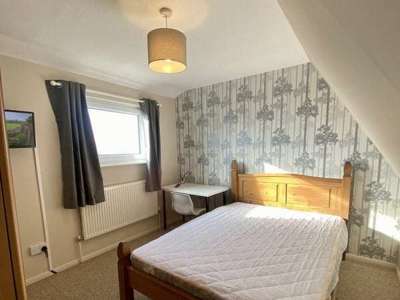 Friendly, professional, four-person house share image