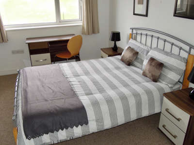 HMO for Professionals  image