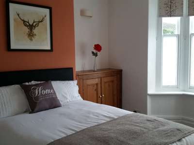 Great house with nice, friendly housemates image