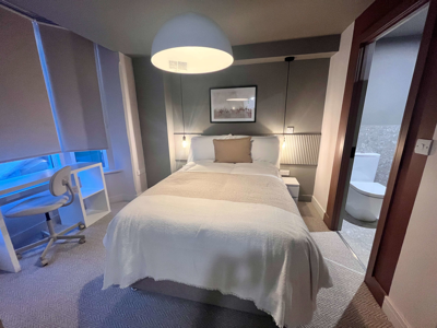 De luxe co-living for the working professional image
