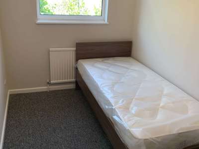Accessibly Convenient House Share in Brighton image