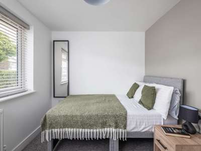 A Home, Not Just a Room image