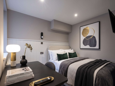 High-End Modern Studio Living image