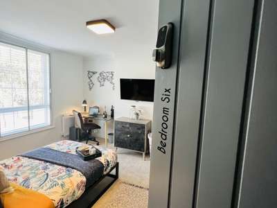 Immaculately Stylish Presented Property- East Ipswich - Woodbridge Road image