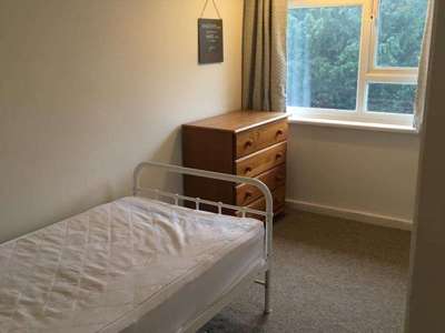 Lovely two-storey apartment in the centre of town for four professionals image