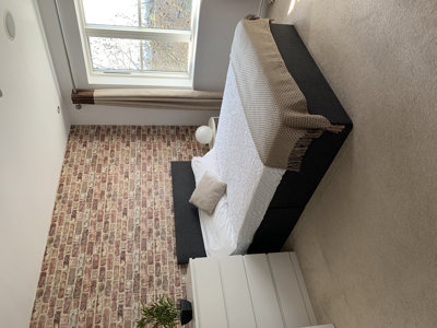 Modern Two Storey House  image